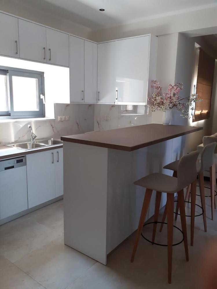 Ionian Stone Luxury Villa Никиана Екстериор снимка