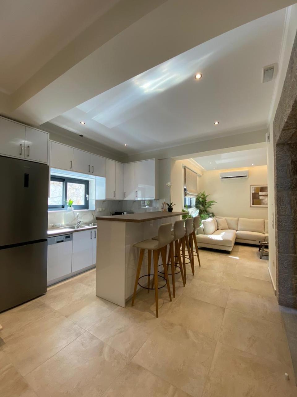 Ionian Stone Luxury Villa Никиана Екстериор снимка
