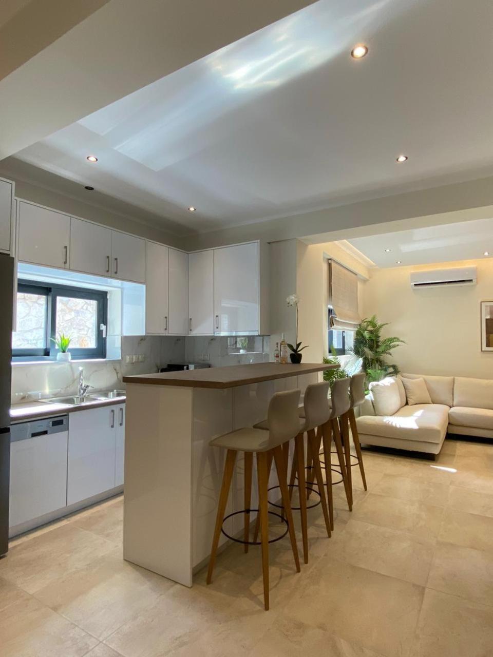 Ionian Stone Luxury Villa Никиана Екстериор снимка
